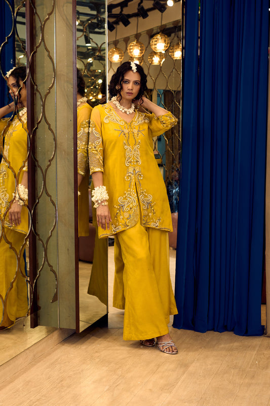 aaina13 - Label Divya Jain