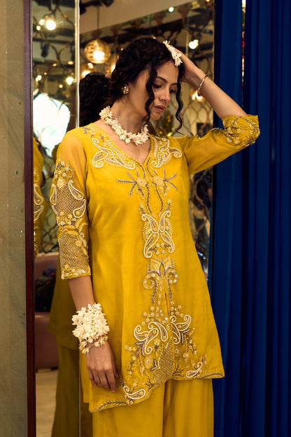 aaina13 - Label Divya Jain