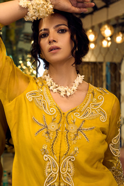 aaina13 - Label Divya Jain