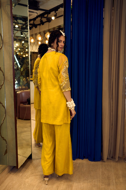 aaina13 - Label Divya Jain